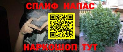 СК Моздок
