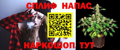 твердый Можга