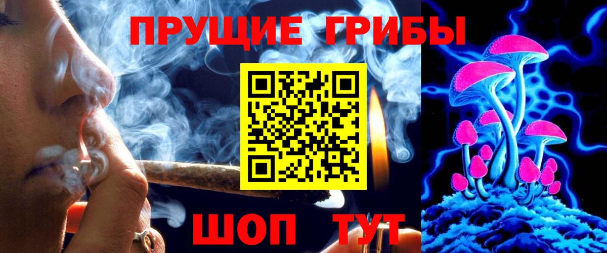 Псилоцибиновые грибы Psilocybe  Вход с VPN  Шахты 
